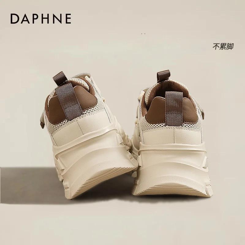 Daphne   ÷ Ź 2023 ο ܿ  Ź   Ź   ƺ Ź